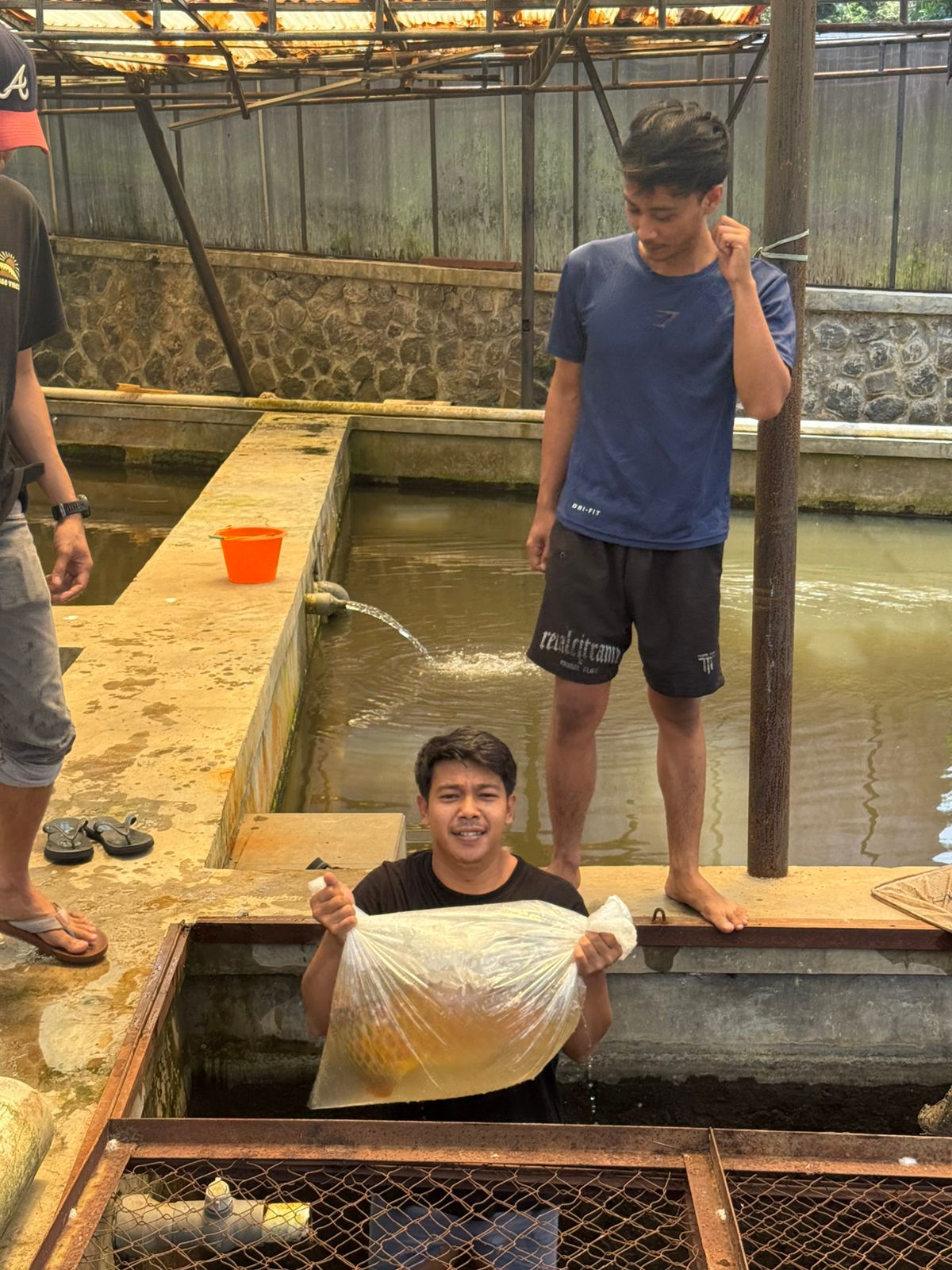 Layanan Akuarium